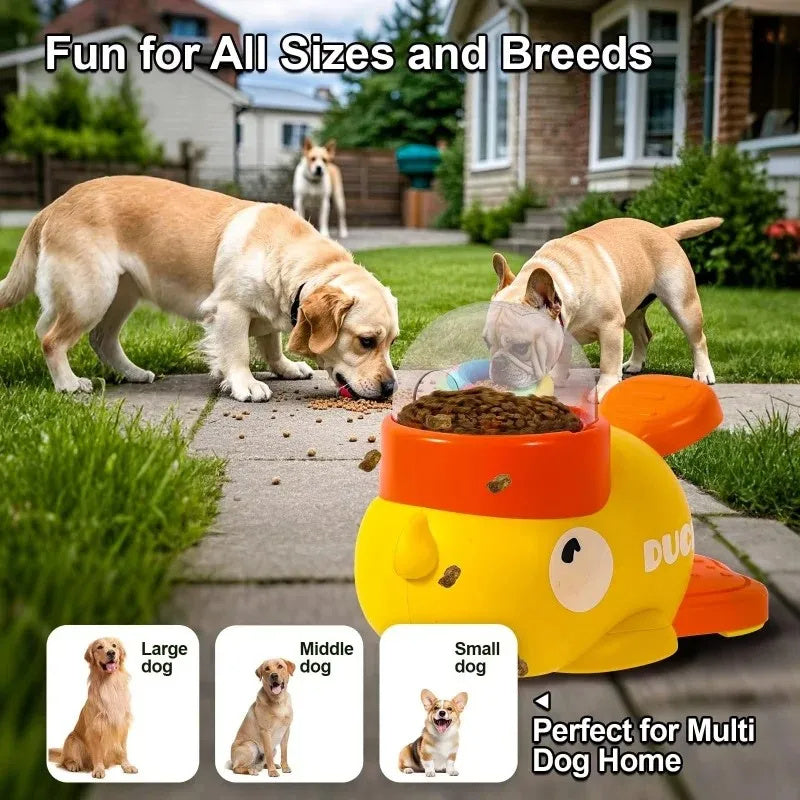 Puzzle Feeder