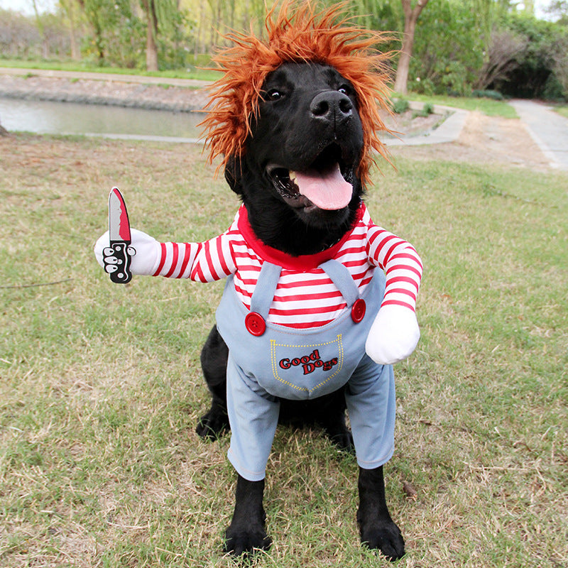 Spooky Paws Costume