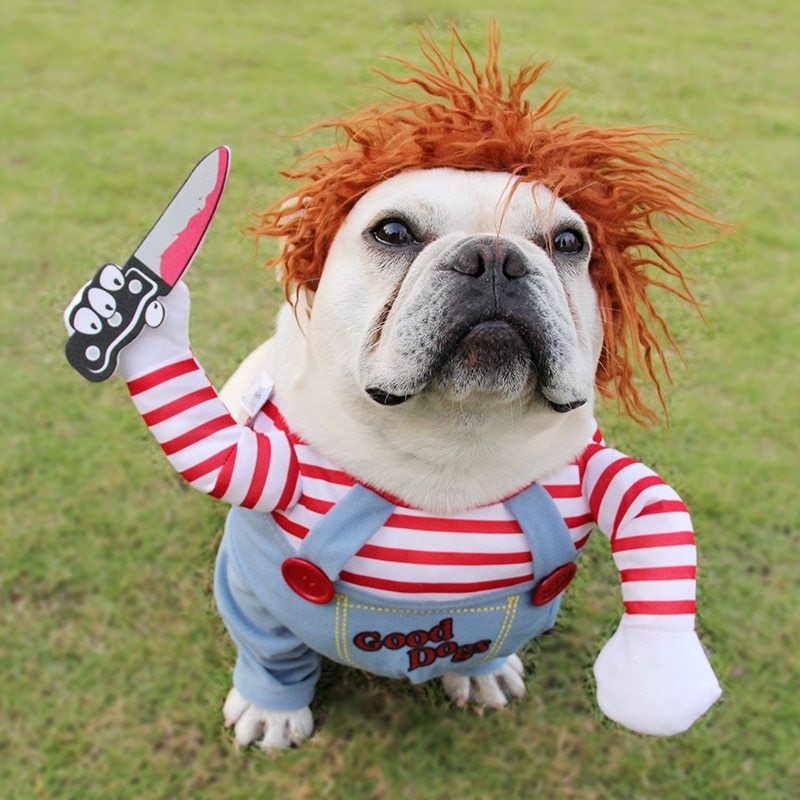 Spooky Paws Costume