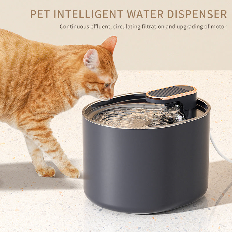 PurePaw Fountain