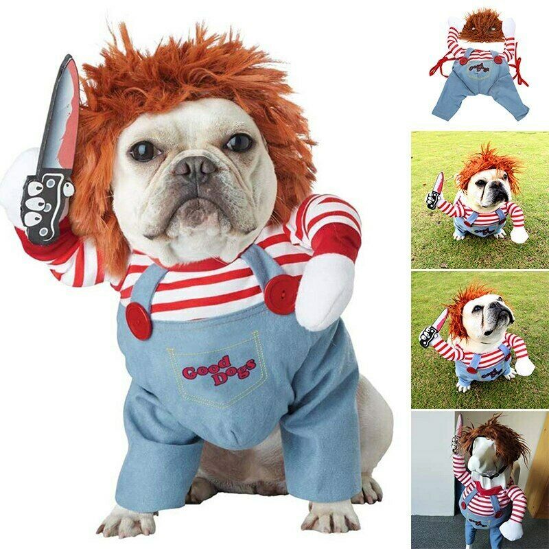 Spooky Paws Costume
